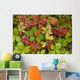 Dwarf Dogwood Growing From A Bed Of Dense Mosses Wall Mural