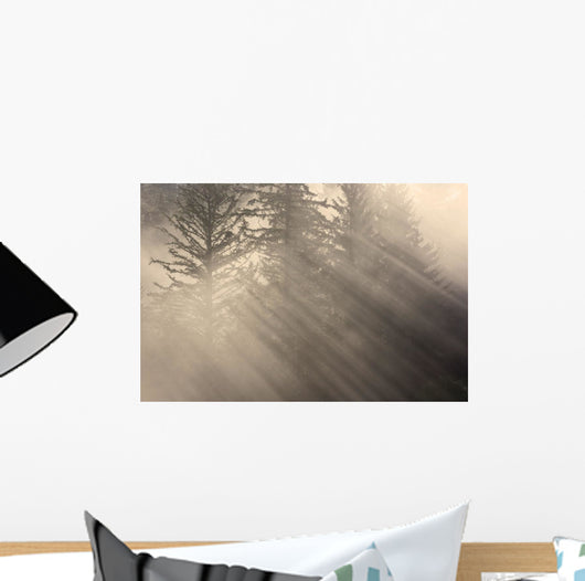 Morning Rays Shine through Wall Decal