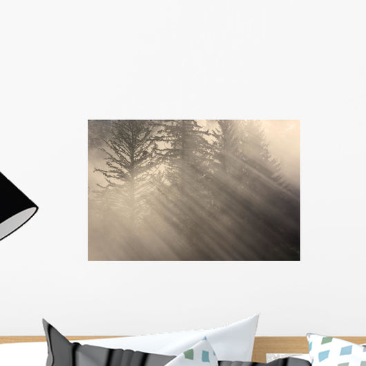 Morning Rays Shine through Wall Decal