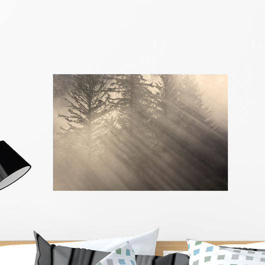 Morning Rays Shine through Wall Decal