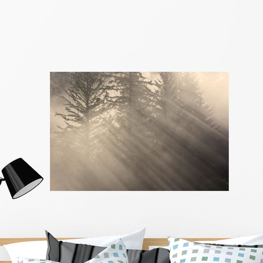 Morning Rays Shine through Wall Decal