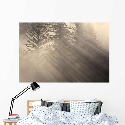 Morning Rays Shine through Wall Decal