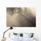 Morning Rays Shine through Wall Decal