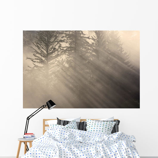 Morning Rays Shine through Wall Decal