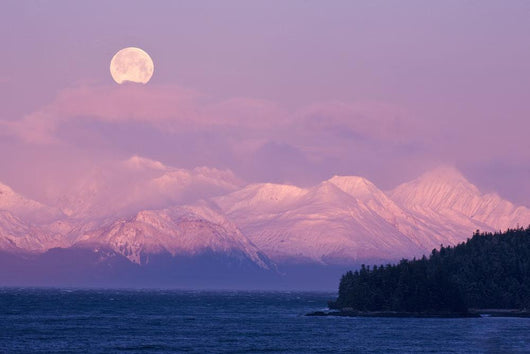 Full Moon Sets over Wall Decal 2