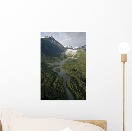 Aerial Herbert Glacier and Wall Decal
