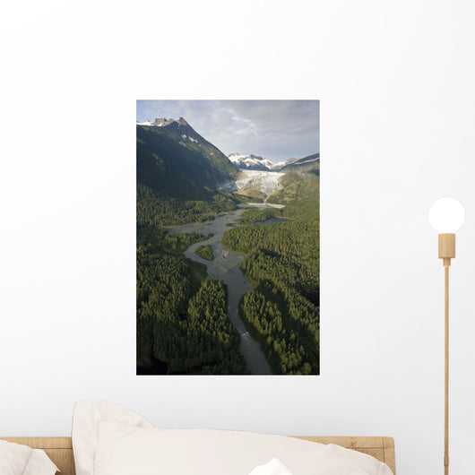 Aerial Herbert Glacier and Wall Decal
