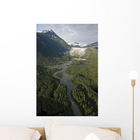 Aerial Herbert Glacier and Wall Decal