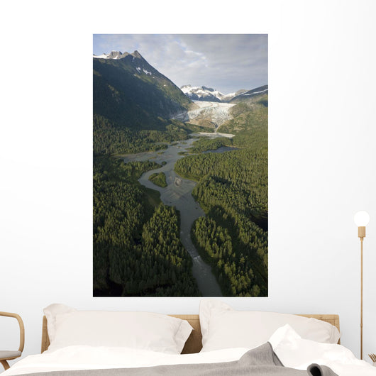 Aerial Herbert Glacier and Wall Decal