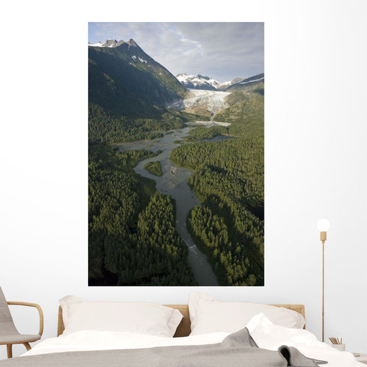 Aerial Herbert Glacier and Wall Decal
