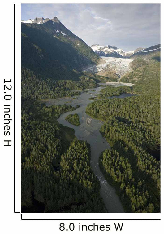 Aerial Herbert Glacier and Wall Decal