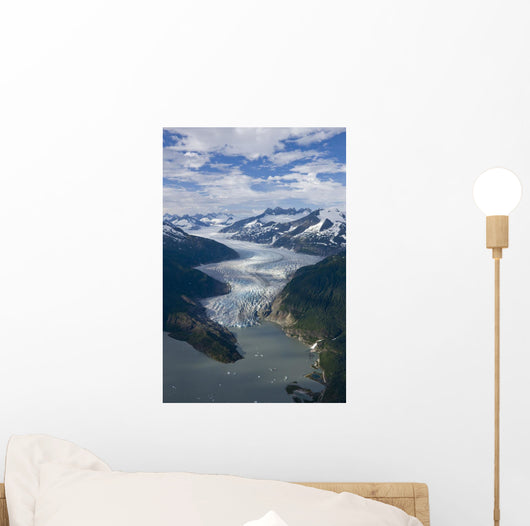 Aerial Mendenhall Glacier Wall Decal