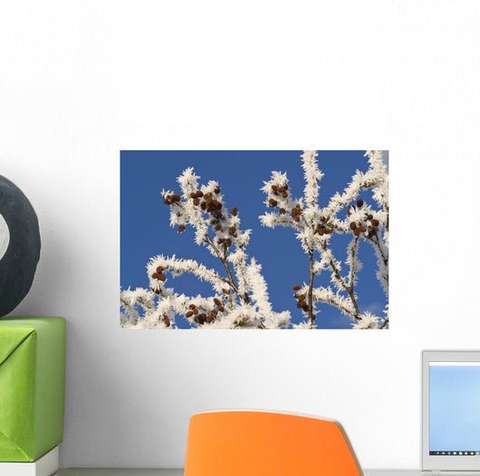 Hoar Frost Adorns Alder Wall Decal