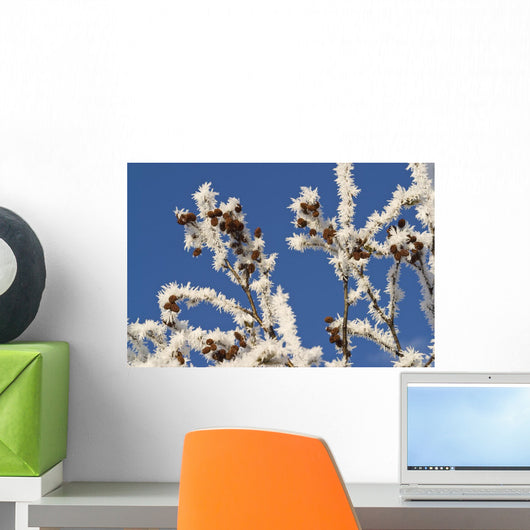 Hoar Frost Adorns Alder Wall Decal