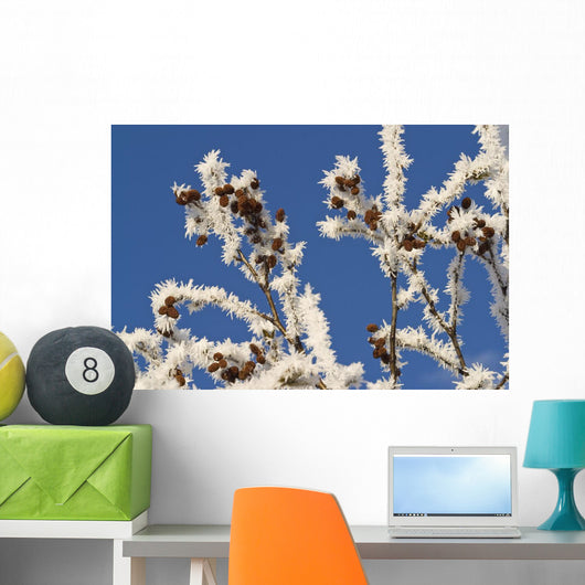 Hoar Frost Adorns Alder Wall Decal