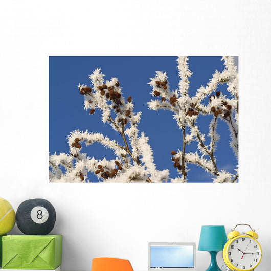 Hoar Frost Adorns Alder Wall Decal
