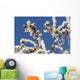 Hoar Frost Adorns Alder Wall Decal