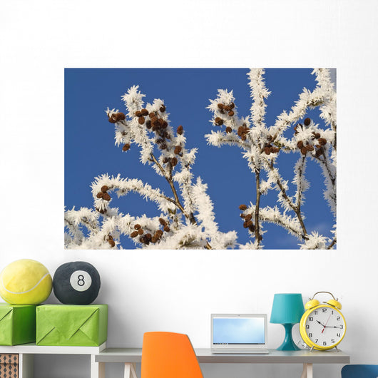 Hoar Frost Adorns Alder Wall Decal