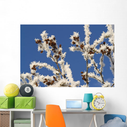 Hoar Frost Adorns Alder Wall Decal