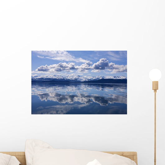 Scenic View Of The Chilkat Mountains Reflecting In Lynn Canal Wall Mural