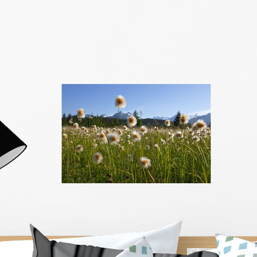 Alaska Cotton Grass In The Mendenhall Wetlands Wall Mural