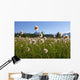 Alaska Cotton Grass In The Mendenhall Wetlands Wall Mural