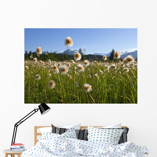 Alaska Cotton Grass In The Mendenhall Wetlands Wall Mural