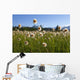 Alaska Cotton Grass In The Mendenhall Wetlands Wall Mural