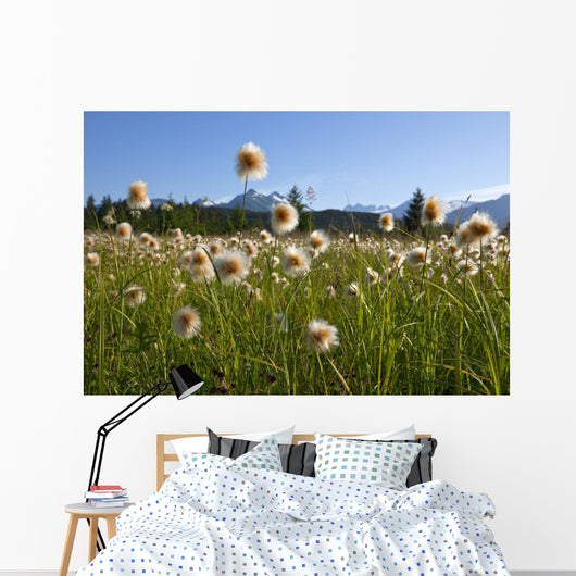 Alaska Cotton Grass In The Mendenhall Wetlands Wall Mural
