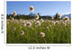 Alaska Cotton Grass In The Mendenhall Wetlands Wall Mural