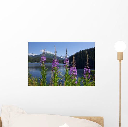 Scenic Auke Lake and Wall Decal