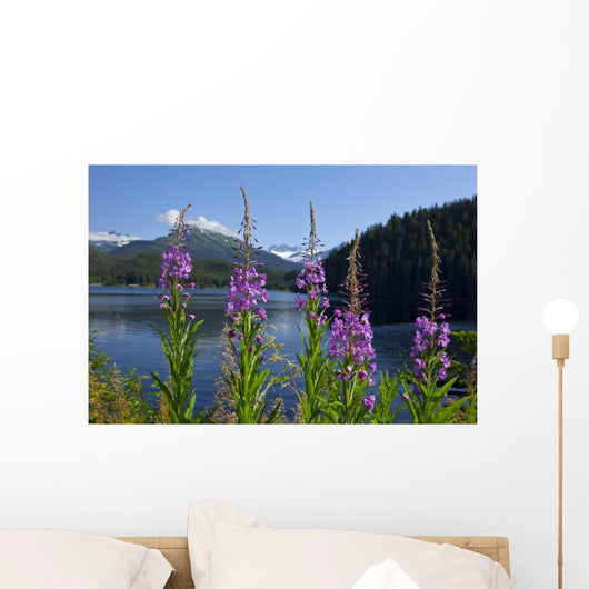 Scenic Auke Lake and Wall Decal