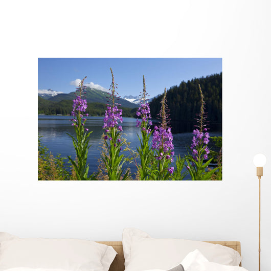 Scenic Auke Lake and Wall Decal