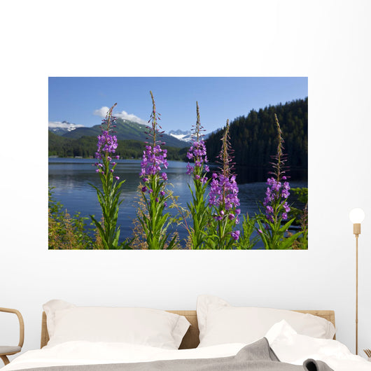 Scenic Auke Lake and Wall Decal