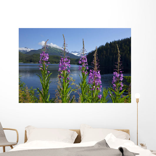 Scenic Auke Lake and Wall Decal