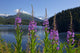 Scenic Auke Lake and Wall Decal