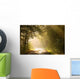 Country road through autumn forest at sunrise Wall Mural