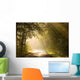 Country road through autumn forest at sunrise Wall Mural