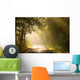 Country road through autumn forest at sunrise Wall Mural