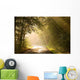 Country road through autumn forest at sunrise Wall Mural