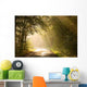 Country road through autumn forest at sunrise Wall Mural