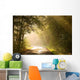 Country road through autumn forest at sunrise Wall Mural