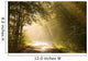 Country road through autumn forest at sunrise Wall Mural