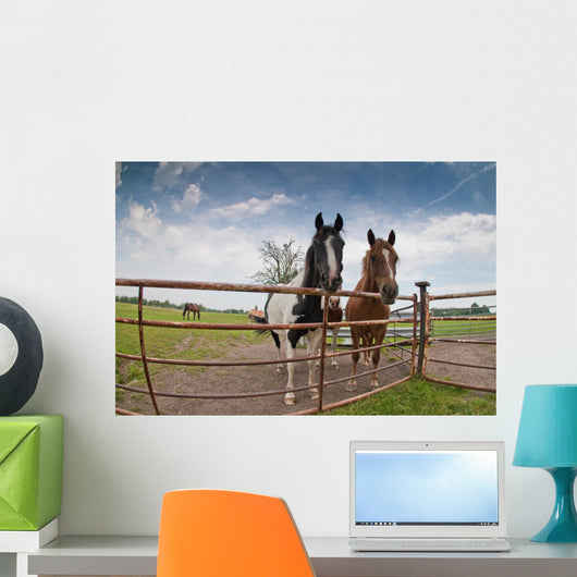 Horses Wall Mural