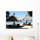 Tropical Series
