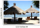 Tropical Series