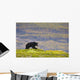 A Black Bear Foraging For Berries Wall Mural