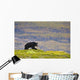 A Black Bear Foraging For Berries Wall Mural