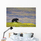 A Black Bear Foraging For Berries Wall Mural
