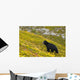 A Black Bear Foraging For Berries On A Hillside Wall Mural